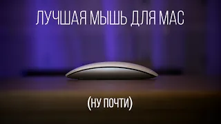 ЛУЧШАЯ МЫШЬ ДЛЯ MAC (ну почти)