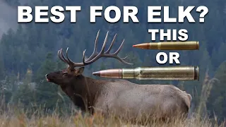 Best Elk Cartridges! Really?