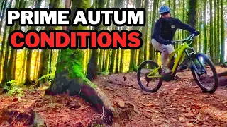 SMILOG MTB | Prime Autum Conditions