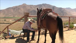 Step Two for Teaching Your Horse to Tie Off and Hold the Rope