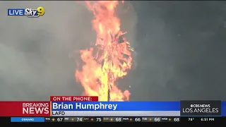 Palm tree ignites as brush fire burns in San Pedro