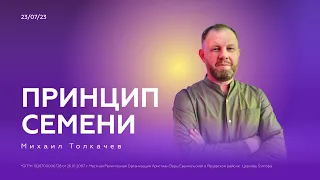 Принцип семени | Толкачев Михаил