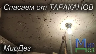 Обработка от тараканов в квартире. МирДез (2022г) 15