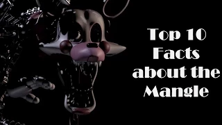 Top 10 Facts - The Mangle - Five Night's at Freddy's