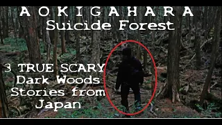 3 Horrifying Aokigahara Stories - EVIL lives there! (NOT suicide stories)