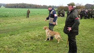 Watch FTCh WILLOWRISE STAR SPINNER runs 2022 Retriever Championship at The Holkham Estate, Norfolk.