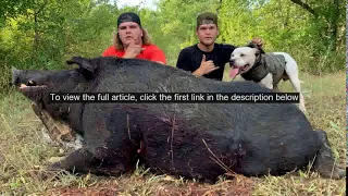Two friends kill massive 460-pound feral hog while hunting