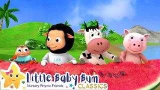 Down By The Bay | Original Little Baby Bum Songs | Nursery Rhymes for Babies