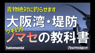 これで青物が簡単に釣れます【完全解説 堤防 ノマセ釣り 泳がせ釣り】つりワゴン#022