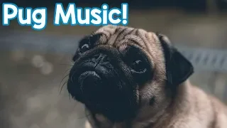 Music for Pugs! Help to Relax Your Stressed, Anxious or Lonely Pug with this Soothing Music!