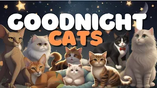 Goodnight Cats 🐾 Cozy Bedtime Story for Kids 📚💤 with Adorable Cat Antics and Purring Lullabies 🌙✨