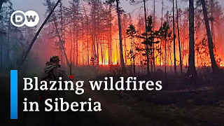 Fire fighters battle more than a hundred wildfires across Russia's Siberia | DW News