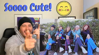 ITZY - "Selfie Cam NOBODY LIKE YOU" MV Reaction! (Half Korean Reacts)