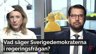 Jimmie Åkessons planer för regeringen