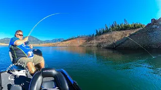 Lake Shasta Float and Fly Bass Fishing