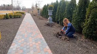 Transplanting 9 David Austin Roses! 🌹🤞🌿 // Garden Answer