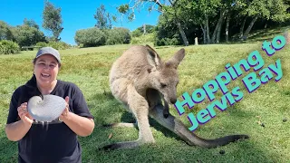 Hopping to Jervis bay - Episode 23