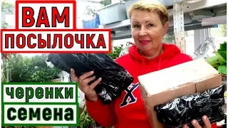 Что и по чём я продаю? Как правильно заказать?