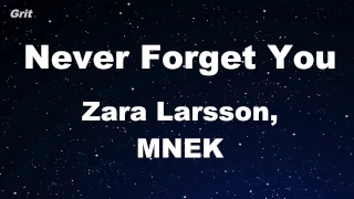Never Forget You - Zara Larsson, MNEK Karaoke 【With Guide Melody】 Instrumental