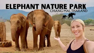 CHIANG MAI ELEPHANT NATURE PARK! The GREATEST Experience + LARGEST Market in Chiang Mai