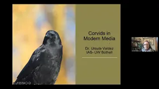 History of Crows and Corvids in Modern Media
