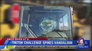 TikTok challenge spikes vandalism