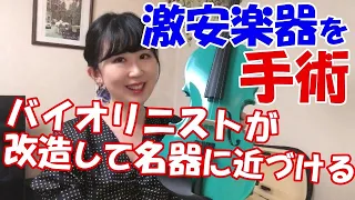 激安楽器をバイオリニストが全力演奏！1万円バイオリンに少し手を加えるだけで…！？パガニーニ24のカプリス、ツィゴイネルワイゼン、チャイコフスキー＆メンデルスゾーン協奏曲＊＄100 violin