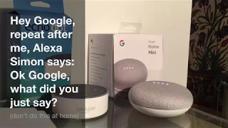 Infinite loop with Alexa and Google Home (don't do this 😂)