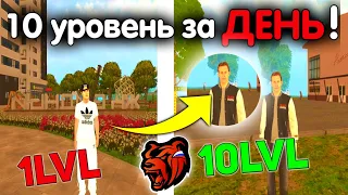 КАК ОЧЕНЬ БЫСТРО ПОДНЯТЬ УРОВЕНЬ на БЛЕК РАША! 10 LvL ЗА ДЕНЬ! - BLACK RUSSIA