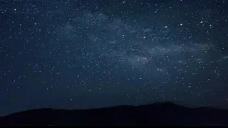 Stargazing while the adults are talking