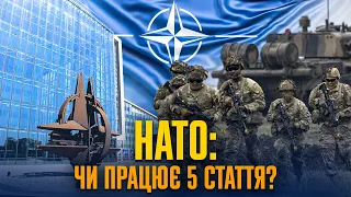 Подвійні стандарти НАТО: одним – вступ, іншим – ПДЧ | Єгор Брайлян