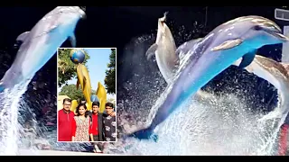 Amazing dolphin and seal show in DUBAI!!!!