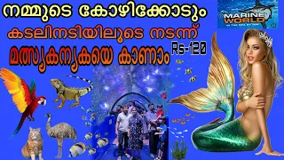 കോഴിക്കോടും എത്തി മത്സ്യകന്യക #marineworld #underwater #tunnel #kozhikode #aquarium#calicut #shorts