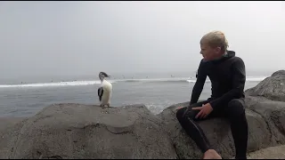 Reef and the Seabird Rescue (Pleasure Point surfing, Aug. 27, 2022)