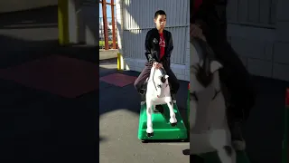 2000s Horse kiddie ride