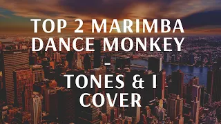 TOP 2 DANCE MONKEY-TONES & I MARIMBA COVER