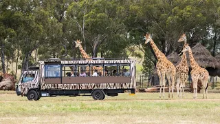 Dubbo Zoo 4K Walking Tour - Taronga Western Plains Zoo Dubbo