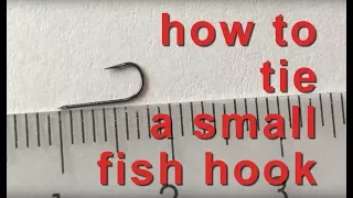 Small fish hook