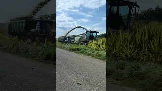 Siláže silage Starojicko a.s Průjezd Claas Jaguar 860