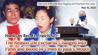 The Reason the Eucharist Changed Into Flesh and Blood 14 Times in Julia's Mouth (Naju, S. Korea)