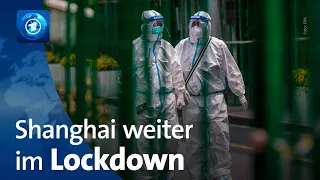 Corona-Lockdown in Shanghai: Menschen rufen nach Essen