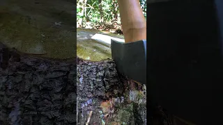 Making a Featherstick with an Axe!