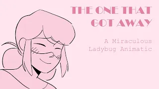 The One That Got Away - Miraculous Ladybug Animatic