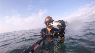 דייג בצלילה חופשית - חגיגת בורים spearfishing israel part 3