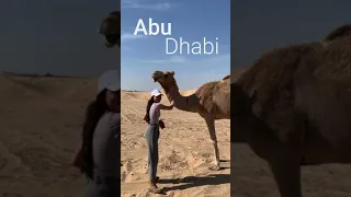 Sand Dune Adventures in Abu Dhabi! Merrell Twins - #Shorts
