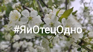 #МирВсем 2024.04.26 Утренняя молитва #АрхиепископСергейЖуравлев #ЯиОтецОдно #ПапочкаБог #Авва #Аминь