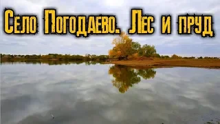 Село Погодаево. Осенние зарисовки 1 (Лес и пруд) Сентябрь 2019 год