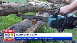 Cea mai bună drujbă: cum o alegem