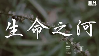 王菲 - 生命之河『因爲我來過，淚與笑都是獲得』【動態歌詞Lyrics】