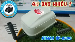 #21: Unbox Máy Sủi Oxy ATMAN HP8000, Sủi Khí Oxy cho Hồ Cá Koi